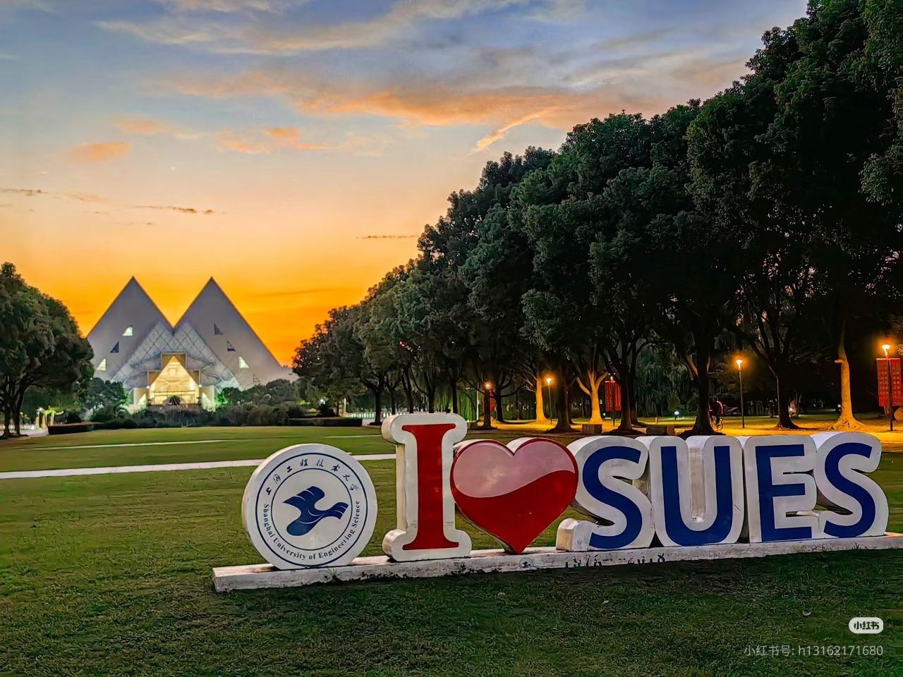 Shanghai University of Engineering Science School scholarship