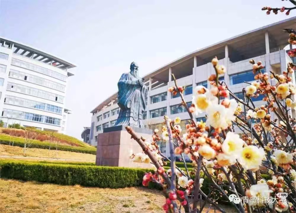 Qingdao University of Science and Technology Provincial Scholarship